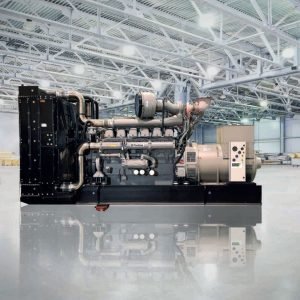 Generator Perkins